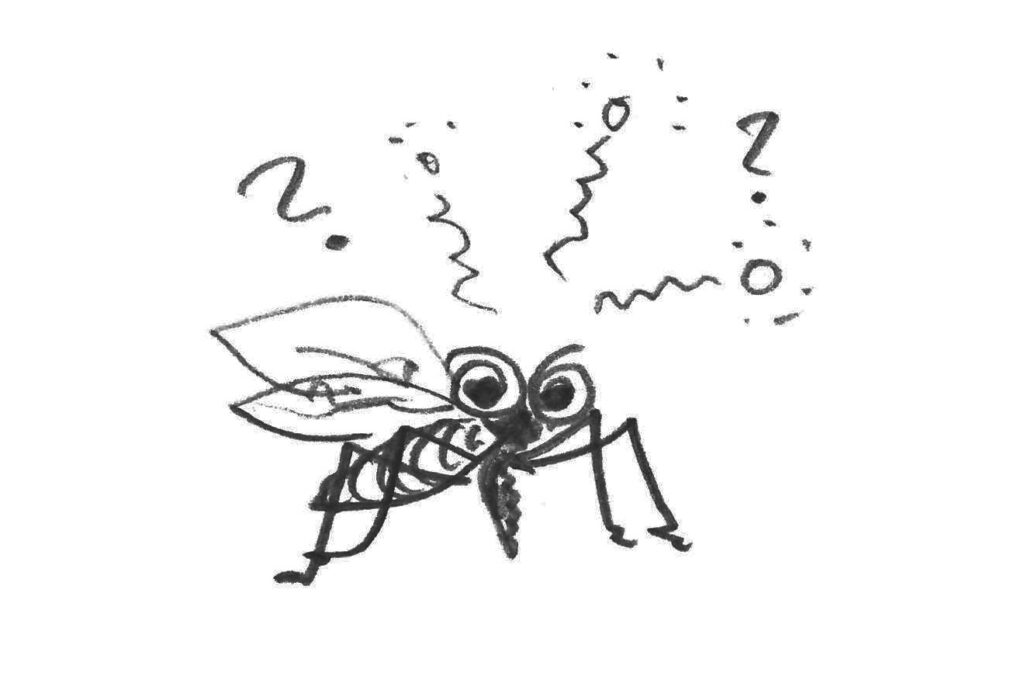 Mücke verwirrt